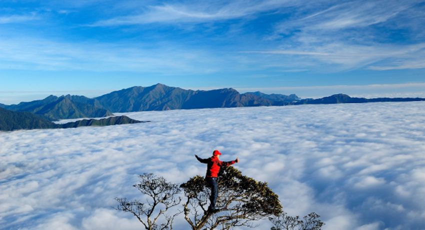 Du Lịch Săn Mây Tà Xùa 