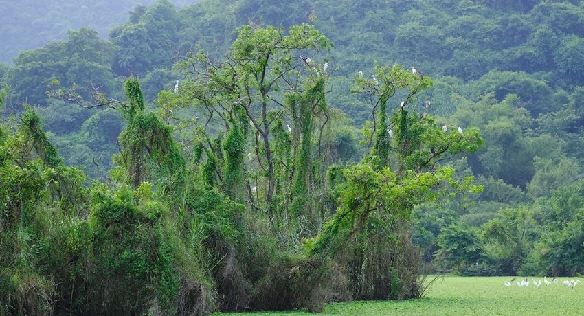 Du Lịch Tam Cốc – Bích Động – Thung Nham 