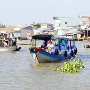 Tour Hồ Chí Minh – Mỹ Tho – Bến Tre 1 Ngày