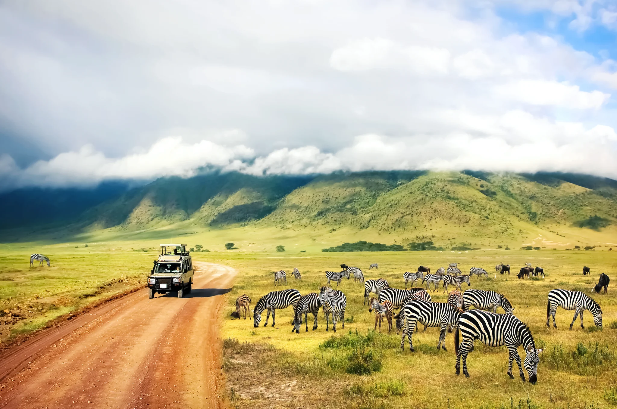 Miệng núi lửa Ngorongoro Châu Phi