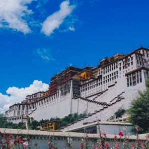 Tour du lịch Thành Đô Tây Tạng 8 ngày 7 đêm