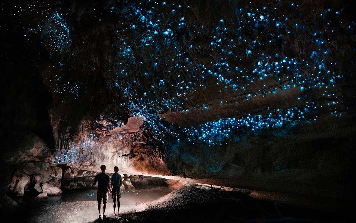 Động đá vôi Waitomo Glowworm Newzealand