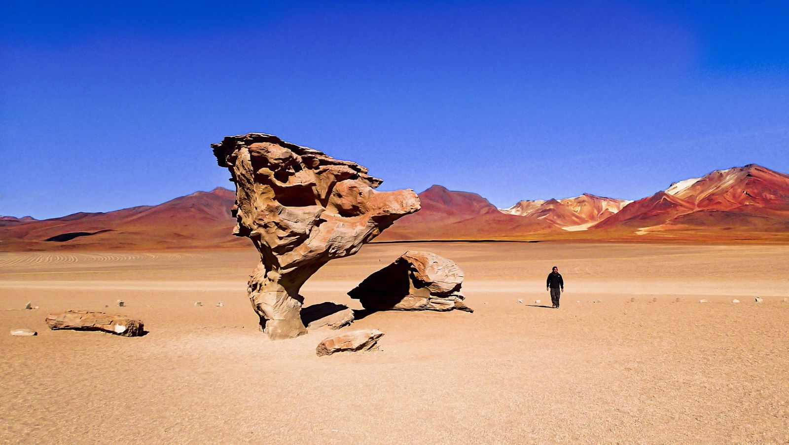 Laguna Colorada Bilivia