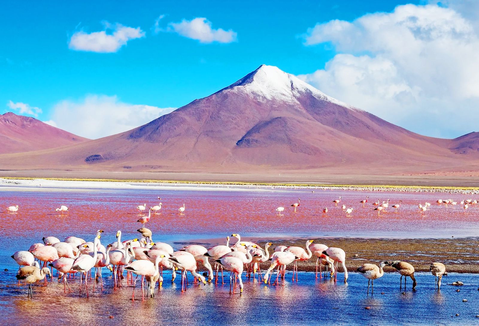 Laguna Colorada Bilivia