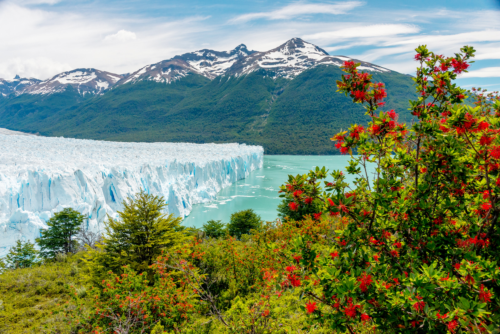 Sông băng Perito Moreno