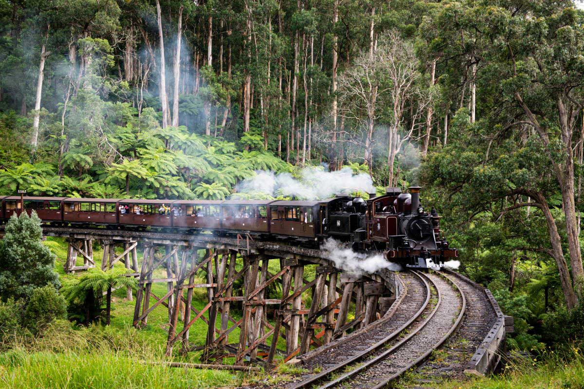 Tàu hơi nước Puffing Billy Úc