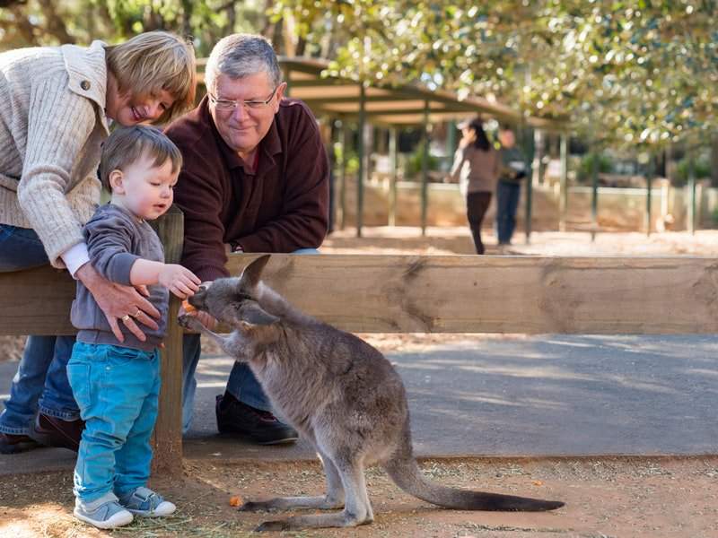 Vườn thú hoang dã Featherdale Wildlife Park Úc